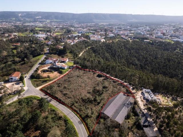 Terreno, Benedita