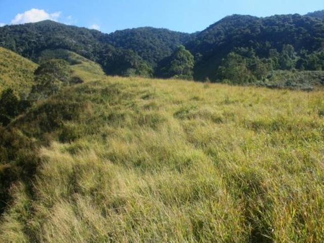 Terreno Bocaina de Minas