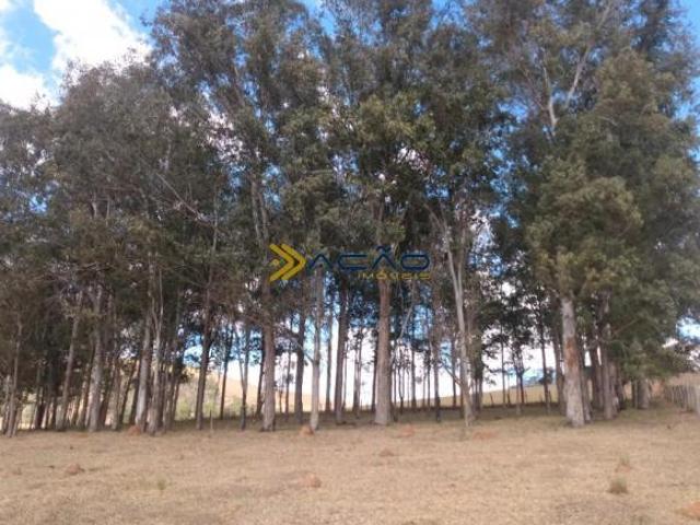 Terreno, Boa Vista do Pedrão, Pedralva, MG