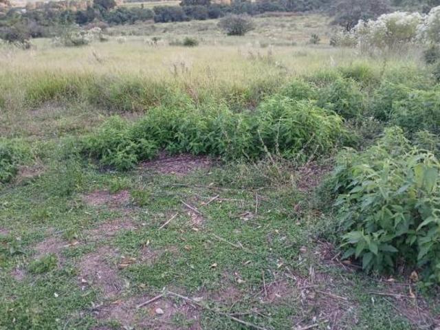 Terreno Bofete