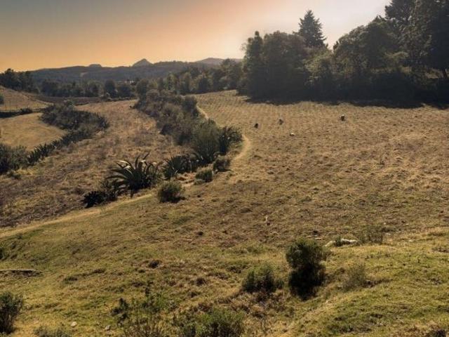 Terreno Boscoso en Omitl?n de Ju?rez