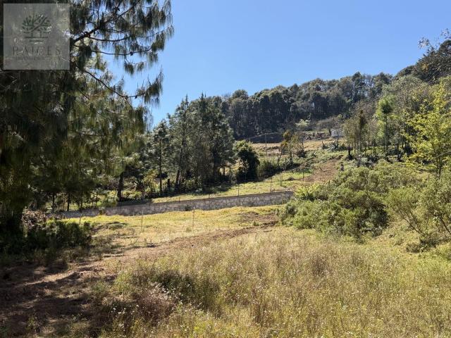 Terreno Boscoso en Omitl?n de Ju?rez