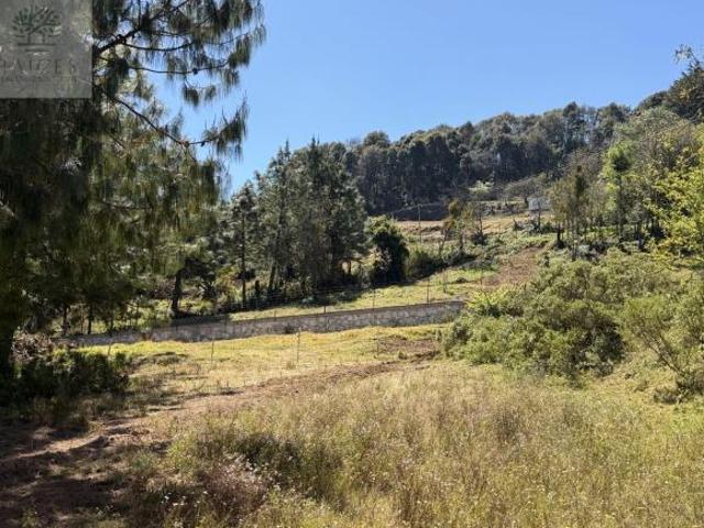 Terreno Boscoso en Omitlán de Juárez