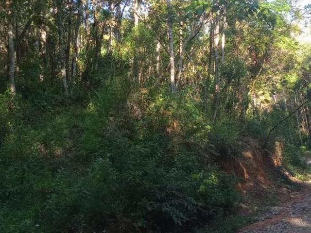 TERRENO BOSQUEADO COM RIACHO EM JUQUITIBA/SP 10.431,80M²