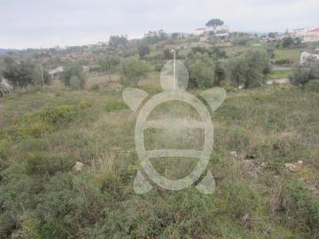 Assafarge, Assafarge e Antanhol, Coimbra, Distrito de Coimbra