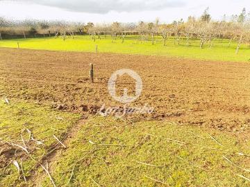 Terreno c/4900m2 Covelas, Trofa