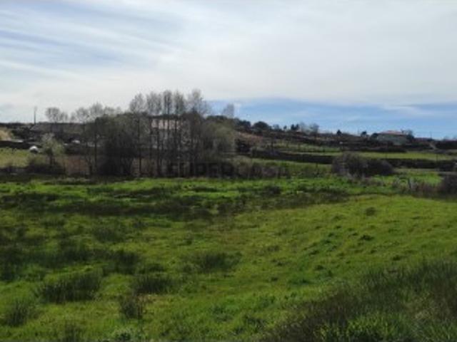 Terreno cultivo com lameiro em Sanfins, Chaves