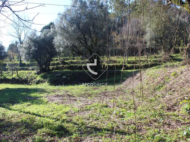 Terreno c/viabilidade construtiva moradia, confrontar com ribeiro Cepões Bárrio/Ponte de Lima