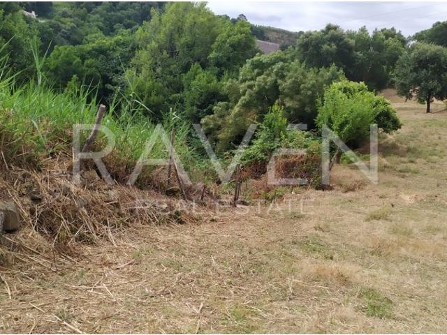 Terreno c/Vista Privilegiada no Coração de Alcobaça 3051.95 m²