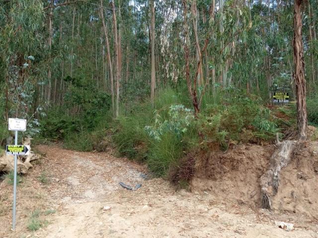 Terreno c/ 17.000m2 em Rebordões de Souto