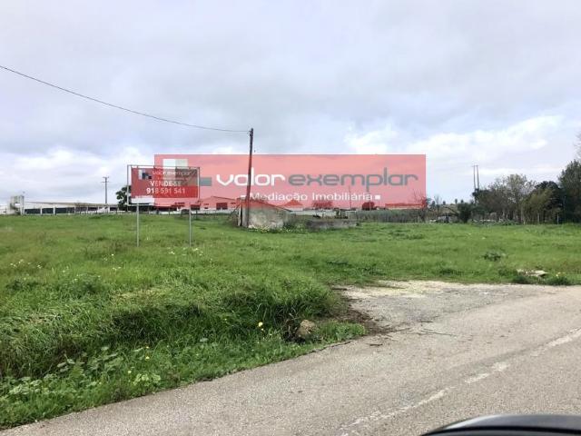 TERRENO C/ 1 HA C/ DESTINO HABITAÇÃO E AUXILIO AGRICOLA