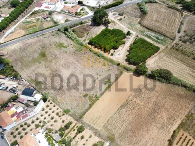 Terreno c/ 22 767m2: Um Investimento Seguro, Perto de Óbidos e das Praias