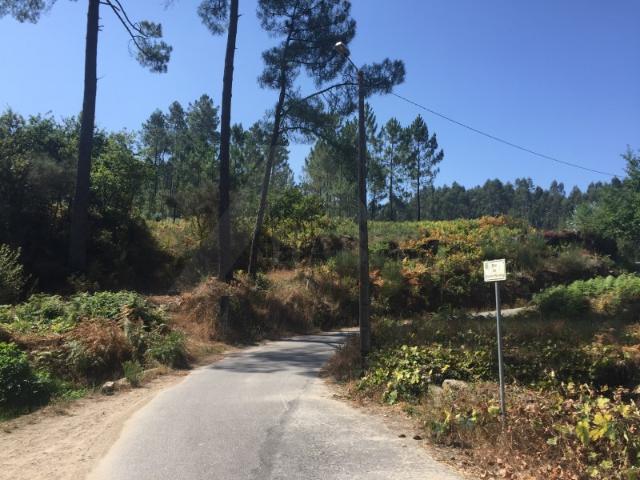 Terreno c/ 6.000 m2 5 bouças