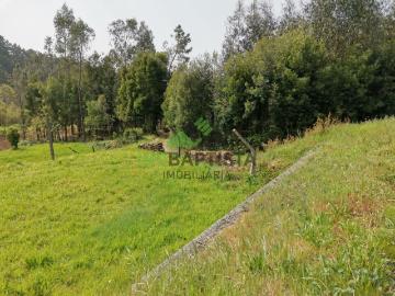 Terreno c/ 9900 m2 no Vale