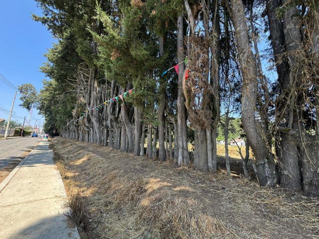 Terreno C?ntrico en Villa del Carb?n, Estado de M?xico