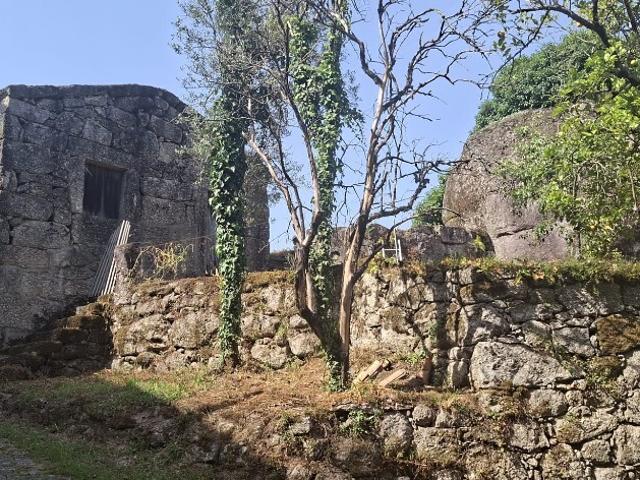 Terreno c/ Sequeira p/ Restauro Bouro Santa Marta