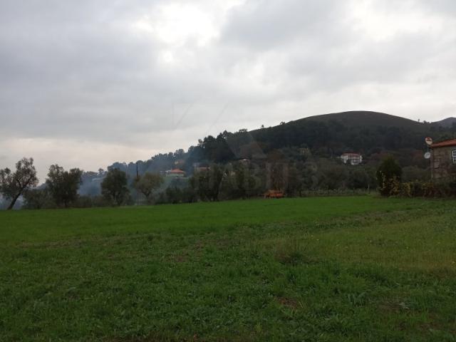 Terreno c/ possibilidade de construção em Serdedelo