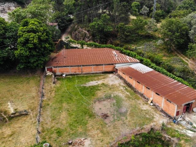 Terreno c/ Pavilhão Agrícola Louredo