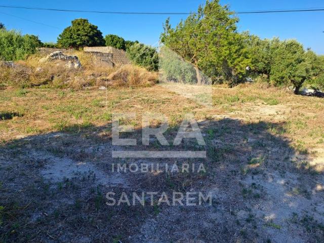 Terreno c/ Ruína p/ Reconstruir