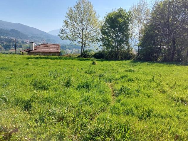 Terreno c/ viabilidade construtiva Eira Vedra