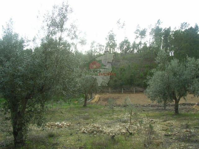 Terreno C/ Viabilidade de Construção em Lameira da Aldeia