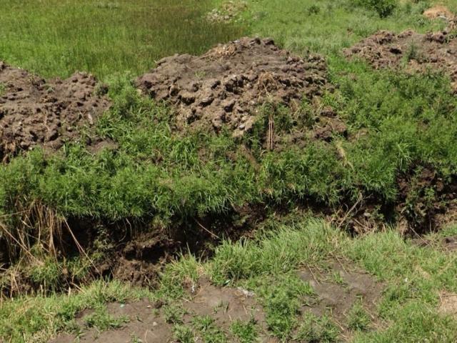 Terreno Calixtlahuaca