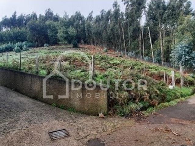 Terreno Camacha, Santa Cruz