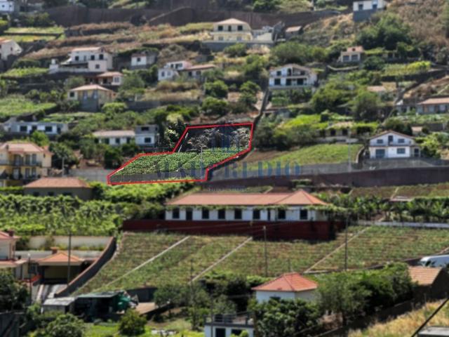 Terreno Câmara de lobos