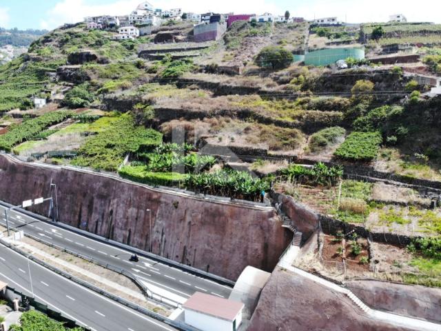 Terreno Câmara de Lobos
