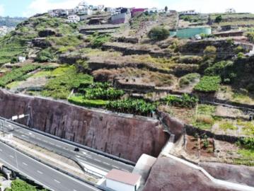 Terreno Câmara de Lobos