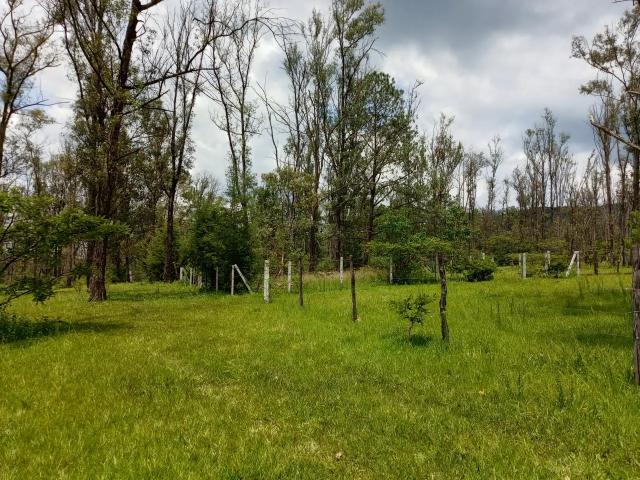 Terreno campestre 270m2 presa de cointzio Morelia michoacán