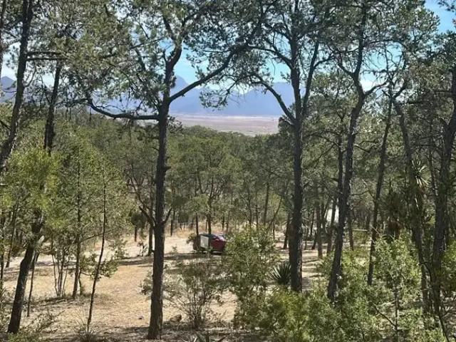 TERRENO CAMPESTRE UBICADO EN ENTRONQUE A SAN ANTONIO DE LAS ALAZANAS Y EJIDO LOS LLANOS