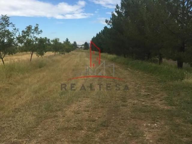 Terreno Campestre Venta carretera Chihuahua Juárez 4,725,000 Manlop RAO