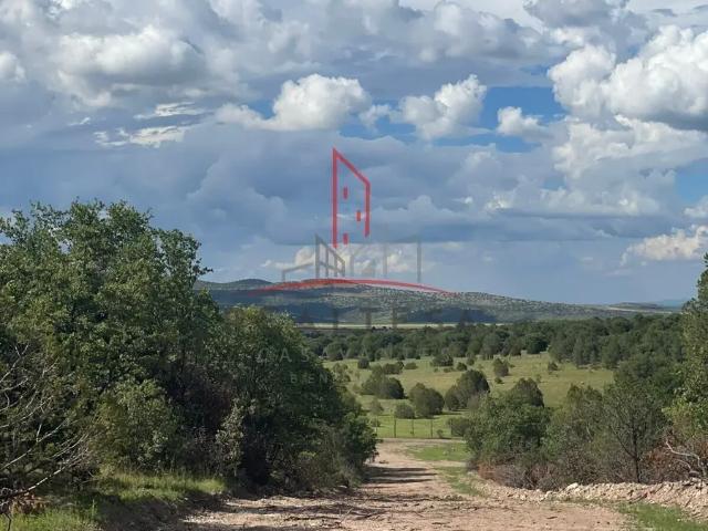 Terreno Campestre Venta Casa Colorada Cuauhtémoc Chihuahua 150,000 Denter RGC