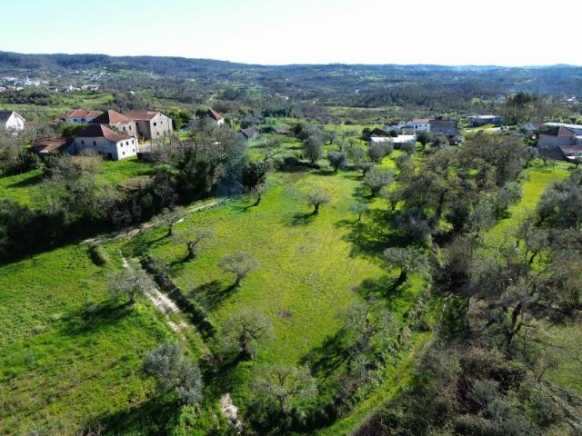 Terreno Campestre com Viabilidade de Construção Pombal