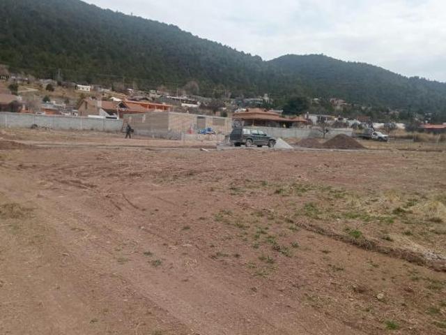 TERRENO CAMPESTRE CON CABAÑA EN CONSTRUCCIÓN EN LA SIERRA DE ARTEAGA