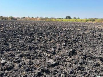 Terreno Campestre en Tepalcingo Tepalcingo CRB 1272 Tca