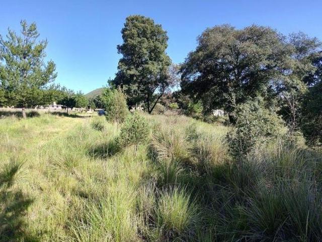 Terreno Campestre en venta, zona arbolada