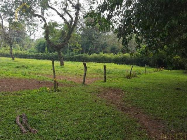 Terreno campestre en venta zona Consolapan