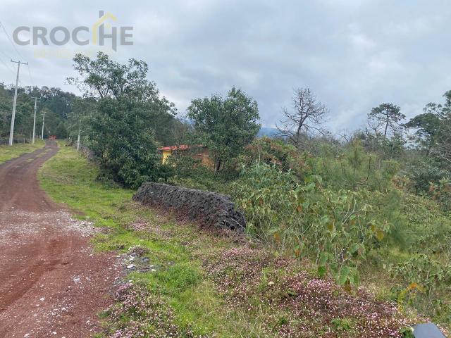 TERRENO CAMPESTRE EN VENTA ZONA SAN JOSE TLACOLULAN, VERACRUZ
