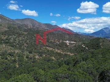 TERRENO CAMPESTRE EN VENTA ARBOLADO 1 HA EN COLINA ARBOLADA SIERRA DE ARTEAGA