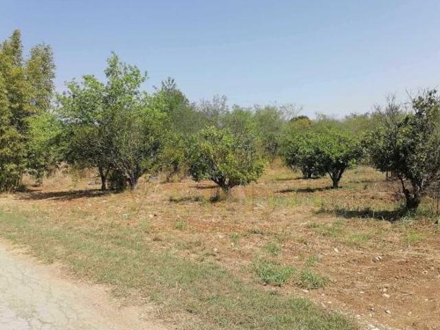 Terreno Campestre en Venta Atongo de Arriba N.L