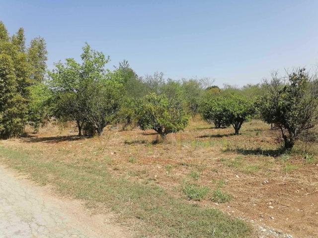 Terreno Campestre en Venta Atongo de Arriba N.L