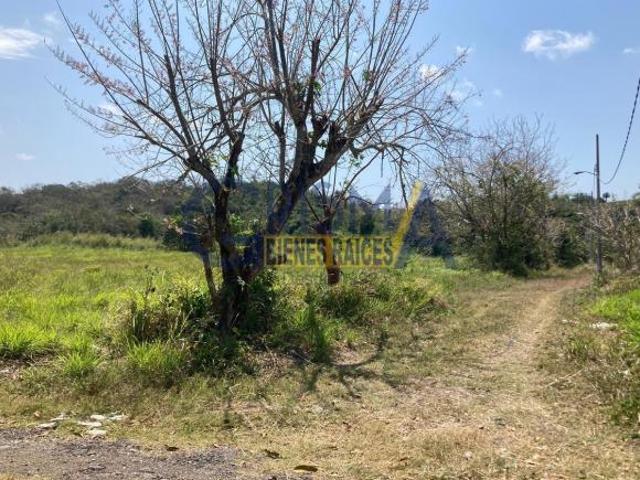 TERRENO CAMPESTRE EN VENTA EN CAMINO A JUANA MOZA