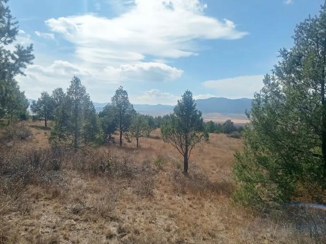 Terreno Campestre en VENTA en Ejido San Juanito