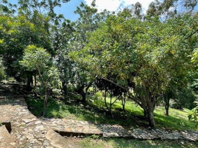 Terreno Campestre en Venta en Ixtlahuacán de los Membrillos