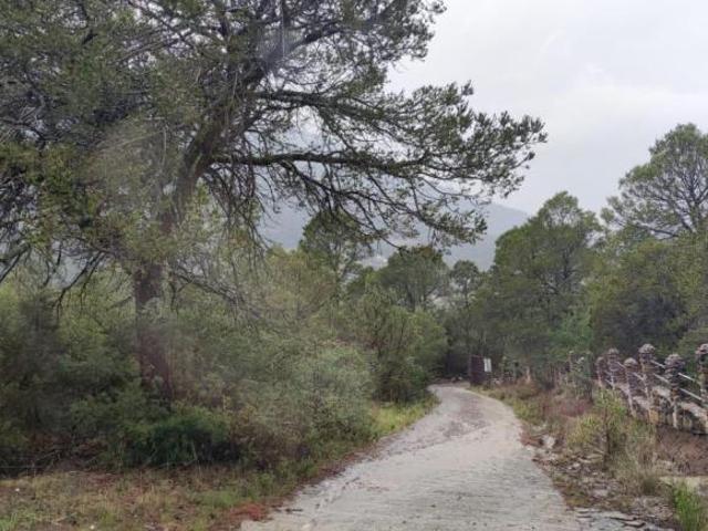 Terreno campestre en venta en Los Lirios Sierra de Arteaga Coahuila Cabañas 1614/564