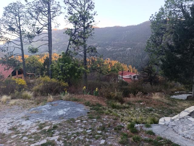 TERRENO CAMPESTRE EN VENTA EN MONTERREAL, COAHUILA