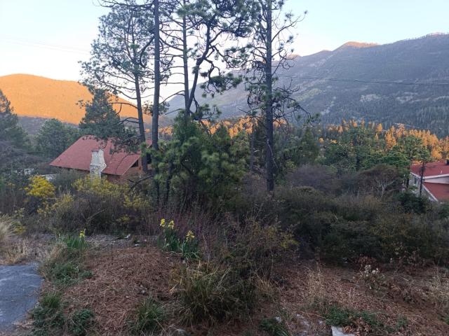 TERRENO CAMPESTRE EN VENTA EN MONTERREAL, COAHUILA