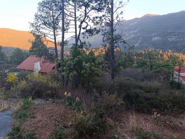TERRENO CAMPESTRE EN VENTA EN MONTERREAL, COAHUILA